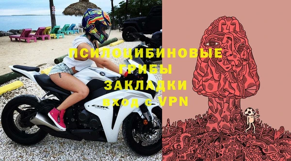 сатива Алексин